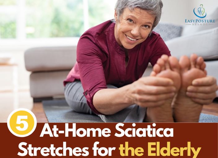 Seated Sciatica Stretching Workout For Seniors, Beginner Level