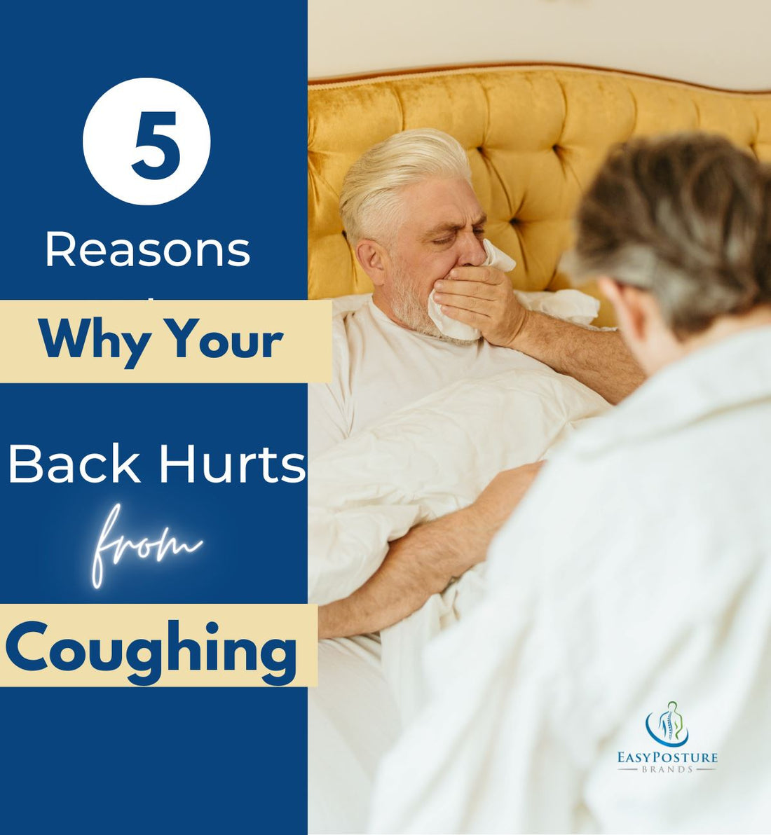 5 Reasons Your Lower Upper Back Hurts From Coughing ?v=1675703482&width=1100