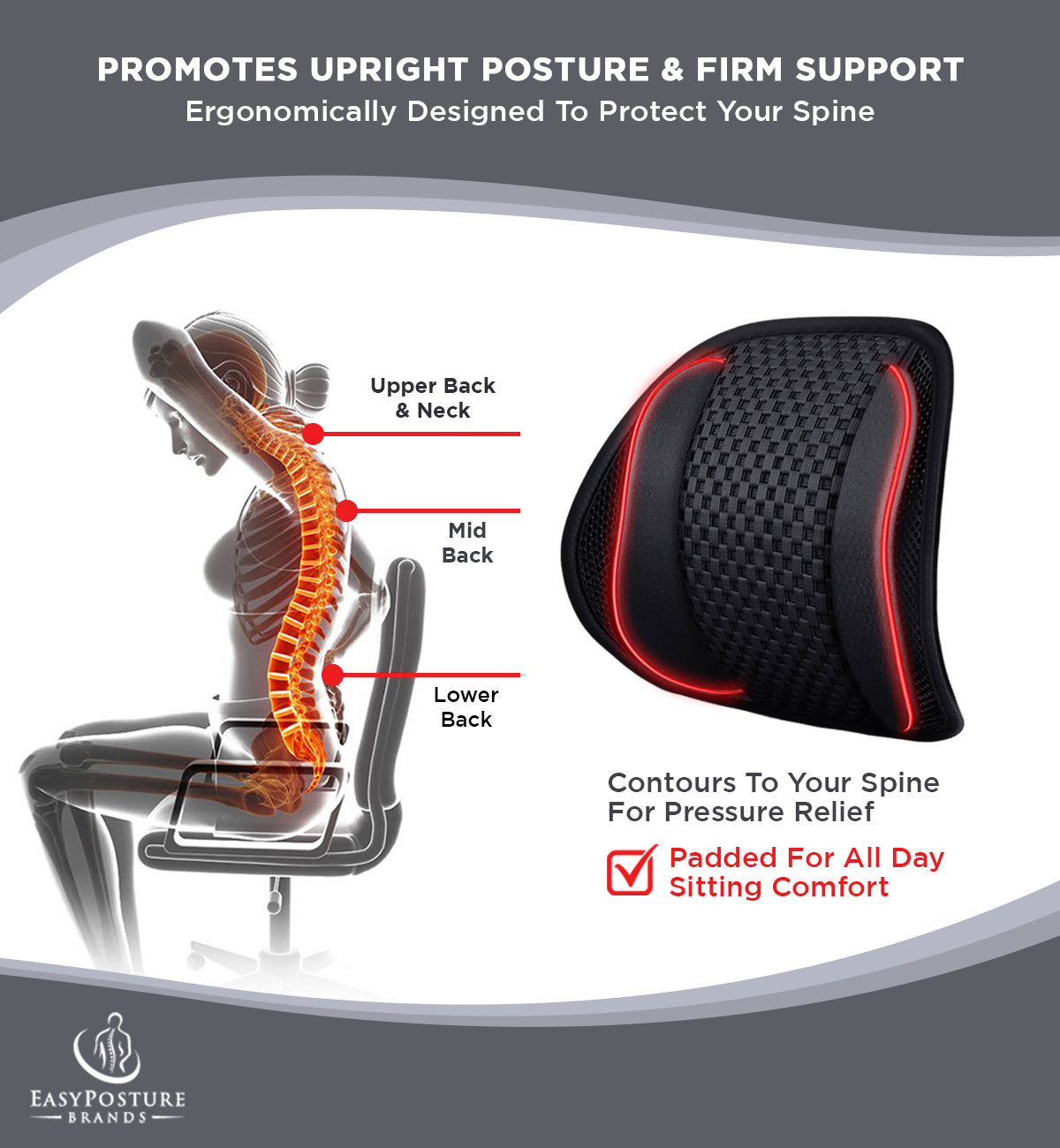 Easy posture lumbar discount back support mesh